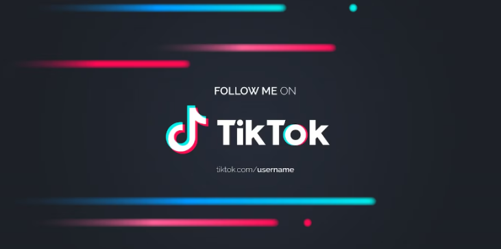 Вратете ја сметката на TikTok 1